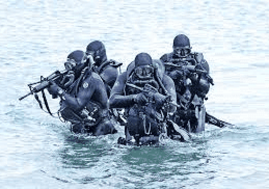 תמונה לוחמים אריות הים